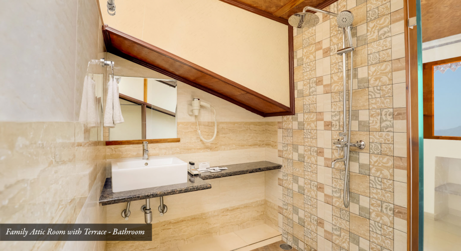 Family Attic Room with Private Terrace