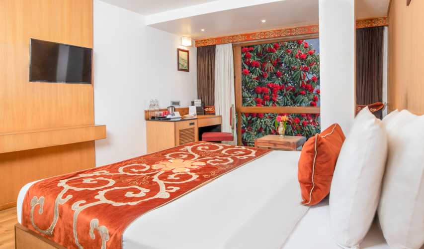 Deluxe Room With Lawn View
