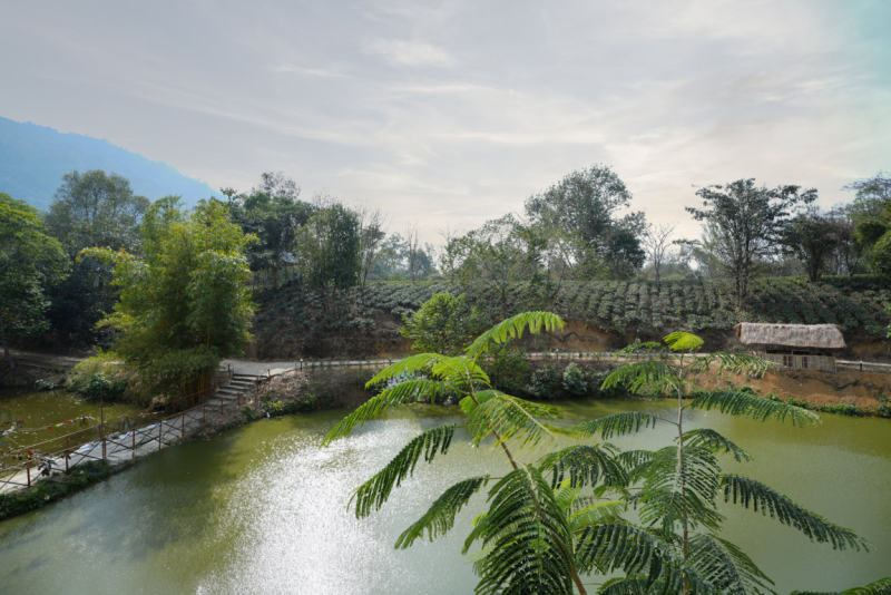 Premium Room with Balcony