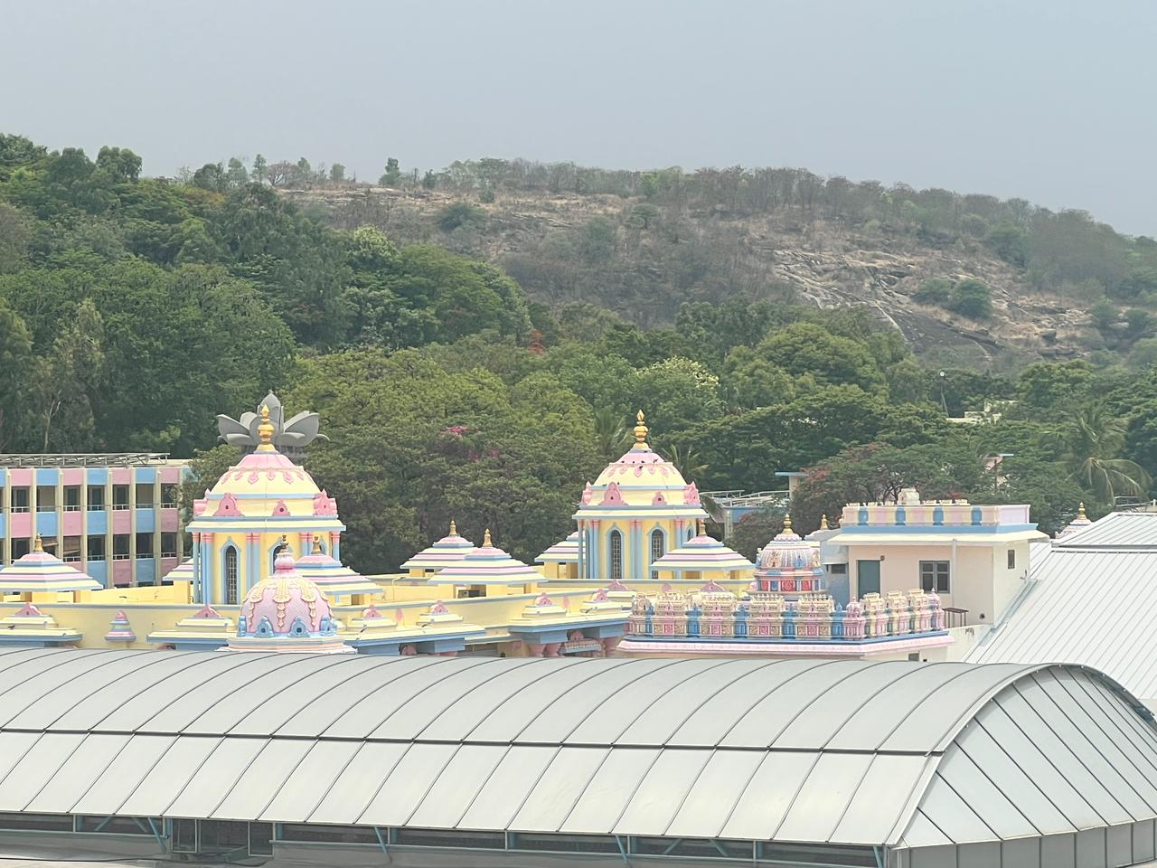 Ashram View Suite