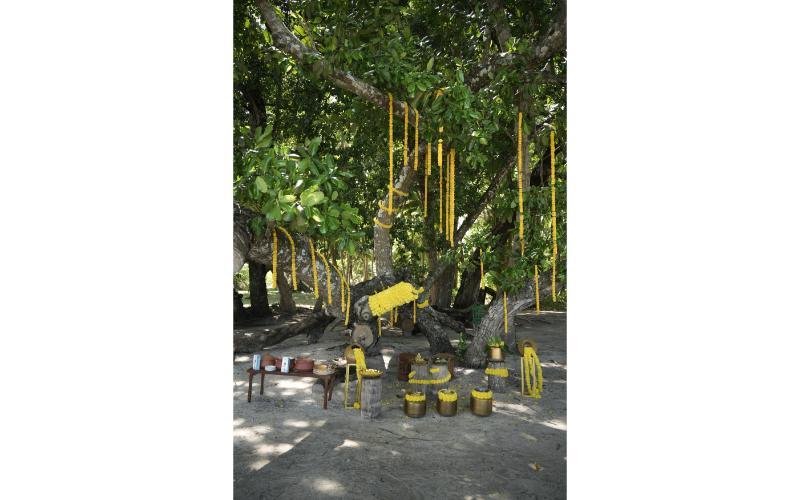 Munjoh Ocean Resort, Havelock Island