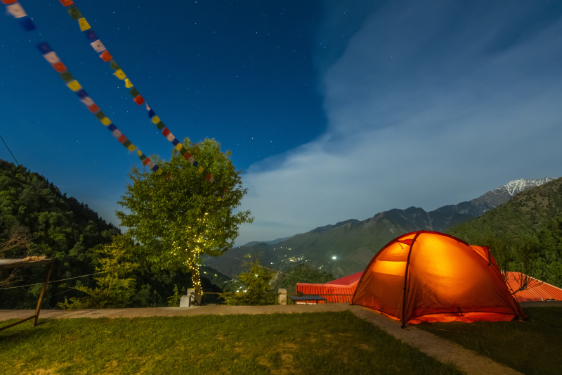 The Birdhouse Retreat, Dharamkot