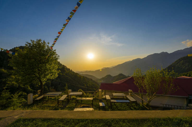 The Birdhouse Retreat, Dharamkot