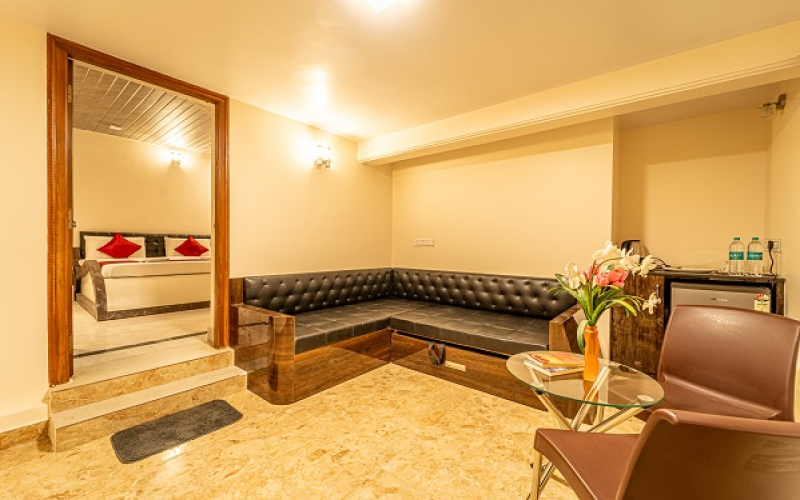 Luxury 1 BR Apartment