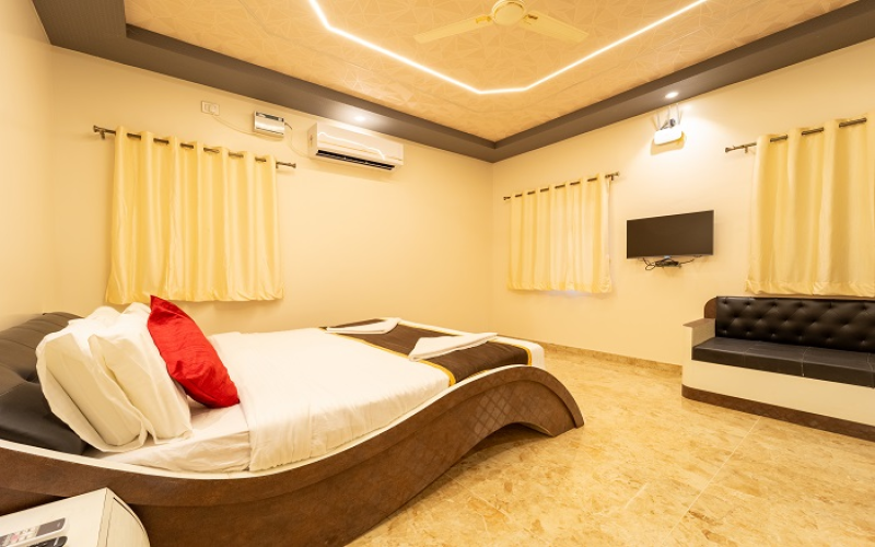 12 Bedroom Apartment