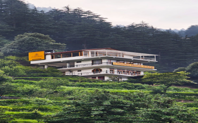 Young Monk Hostel Jibhi