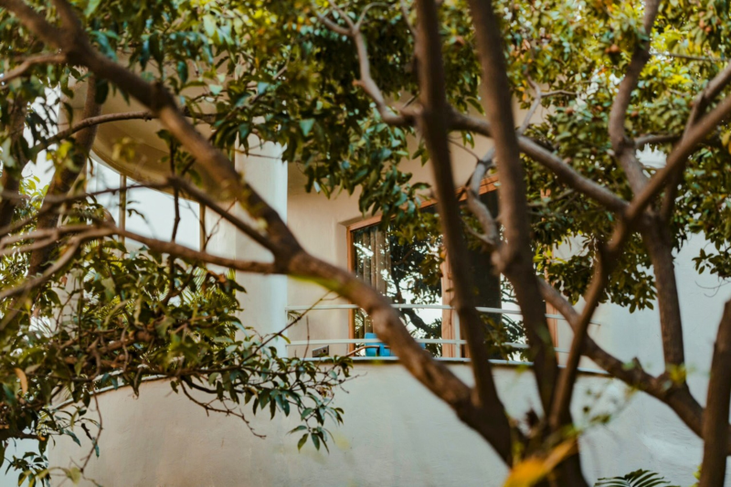 Junior Suite with Deck & Garden View