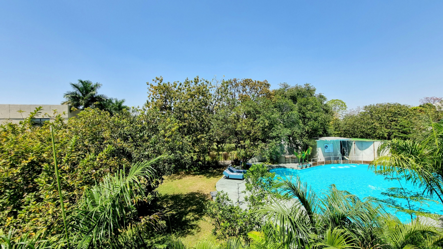 King Room Pool & Garden View