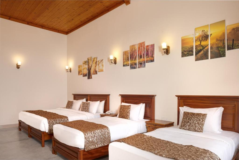 Mountain view Deluxe Suite