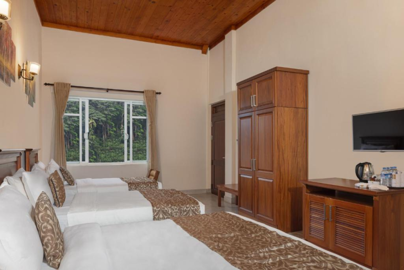 Mountain view Deluxe Suite