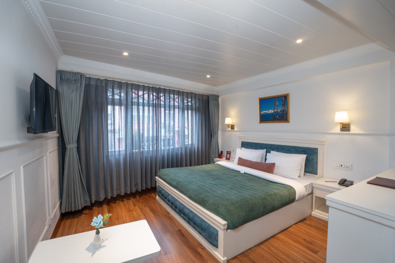 Premium View Room Sofa Cum Bed