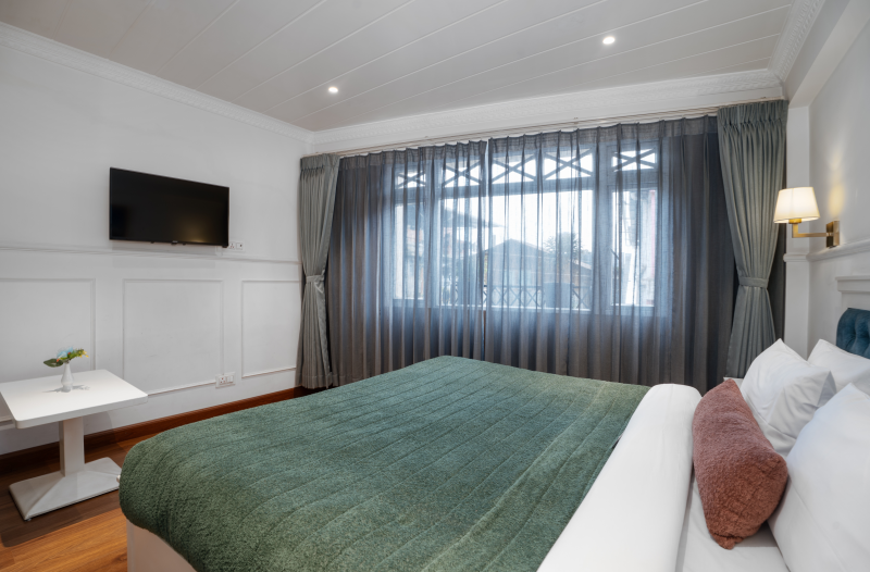 Premium View Room Sofa Cum Bed