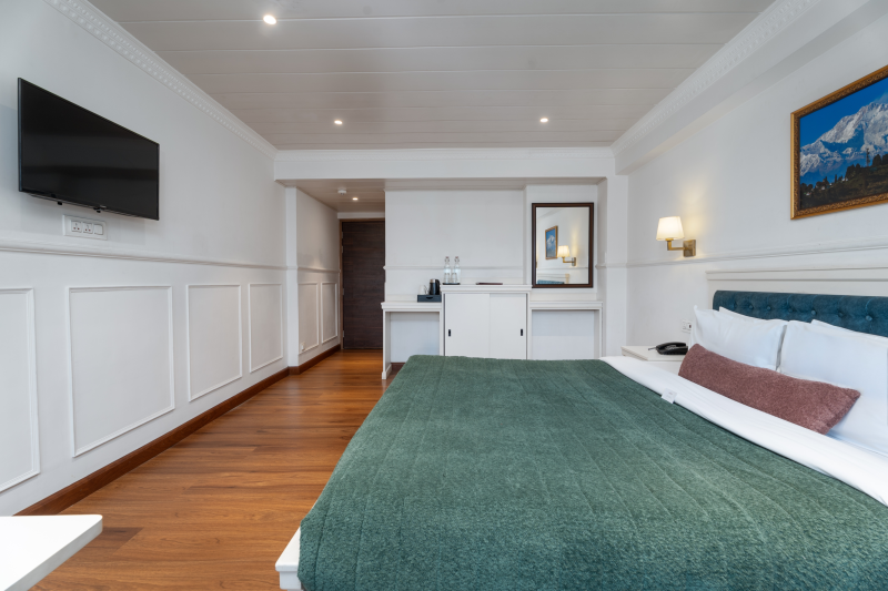 Premium Room Sofa Cum Bed