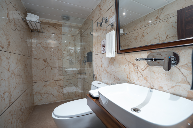 Premium Room Sofa Cum Bed