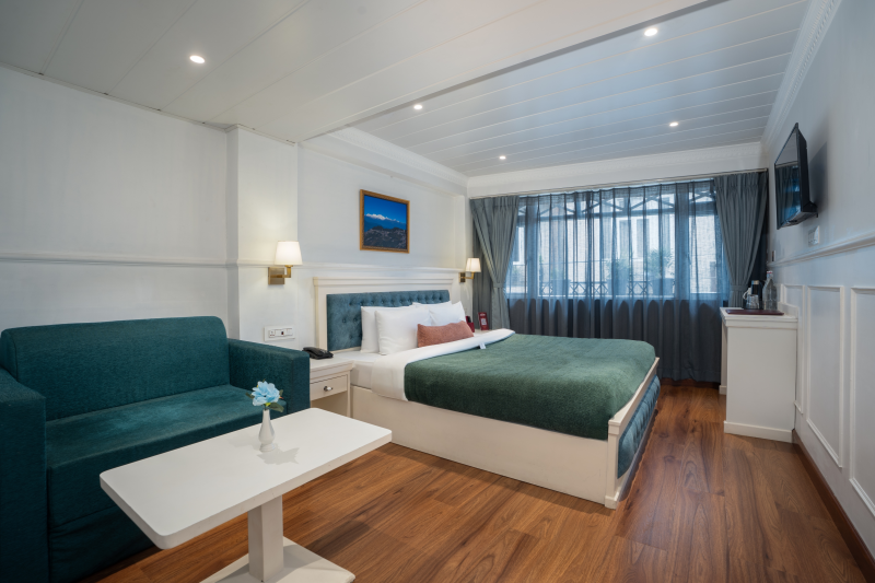 Premium Room Sofa Cum Bed