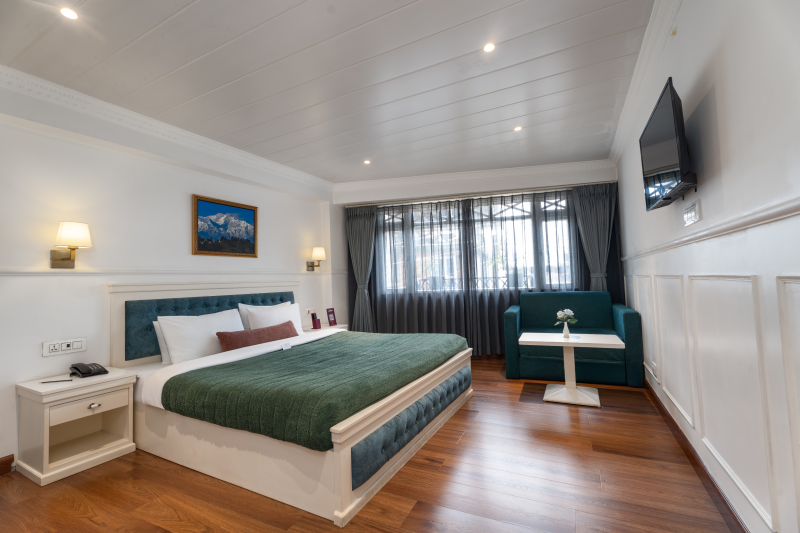 Premium Room Sofa Cum Bed