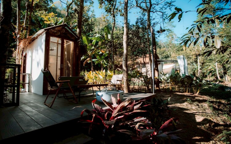 Tree Shades Tent —71.2 sqm