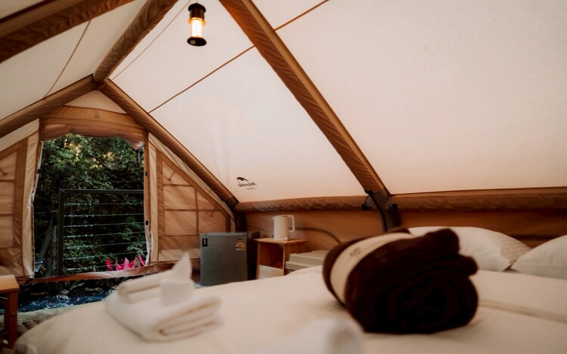 Tree Shades Tent —71.2 sqm