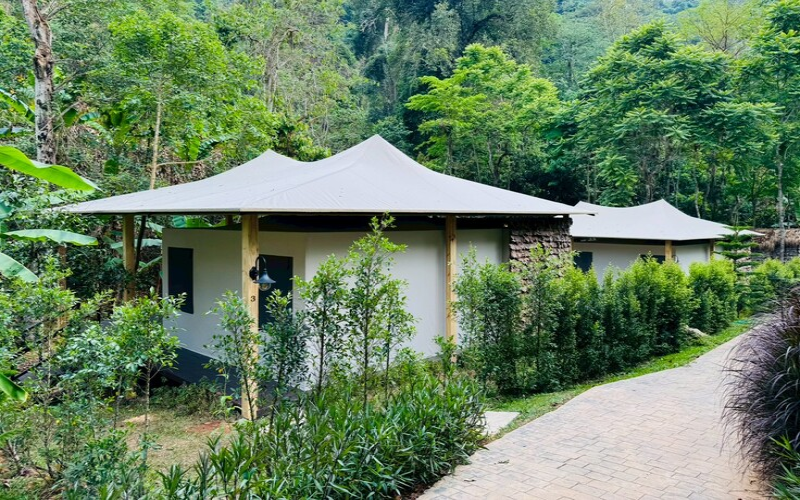 Crown Tent, Q&S Bed —64.4 sqm